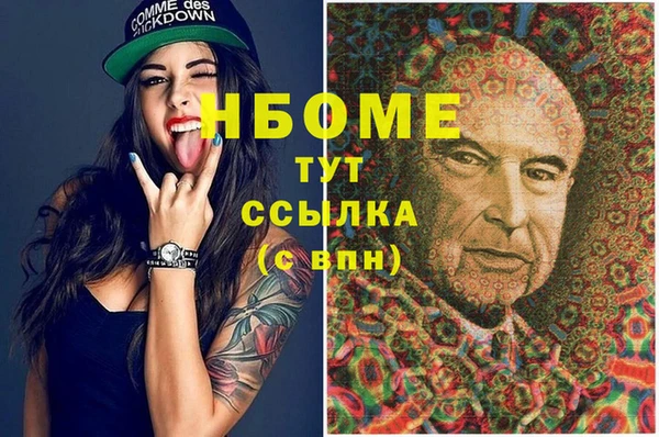 хмурый Осинники