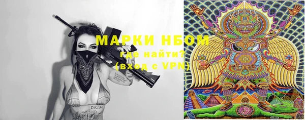 хмурый Осинники