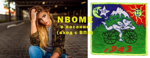 хмурый Осинники