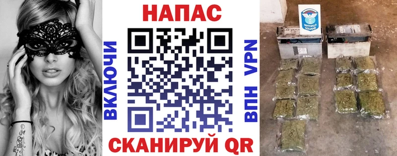 где купить   Алупка  Канабис ГИДРОПОН 